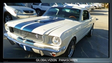 1965 Shelby Mustang GT350 