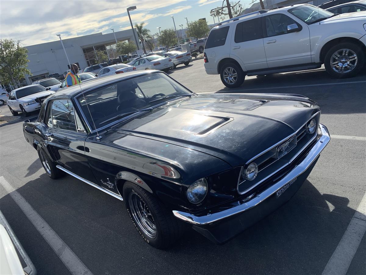 1968 mustang complete paint front before