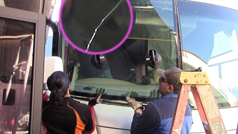 FEMA coachman windshield damage replacement