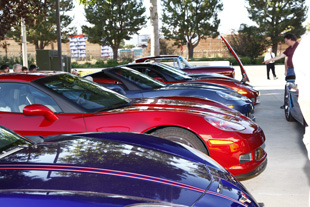 corvette row from corvette clubs and restorations and paints from 25th anniversary event from www.thecrashdoctor.com